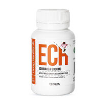 Living Healthy Echinacea 5000mg 120 Tablets