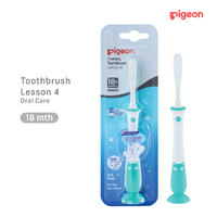 Pigeon Training Toothbrush Lesson 4 Mint