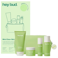 Hey Bud Mini Clear Skin Starter Kit