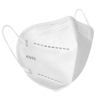 KN95 Protective Mask