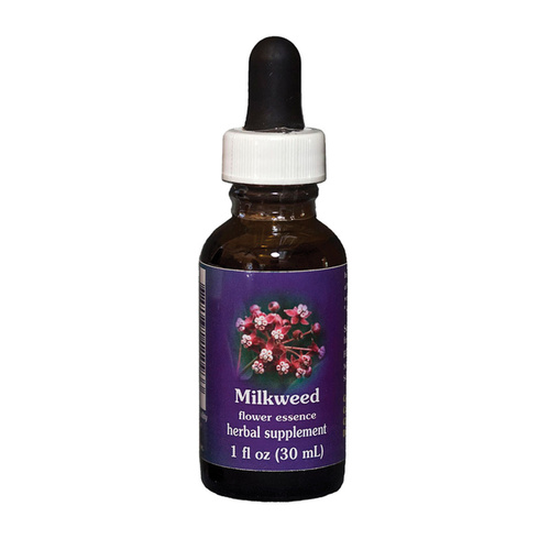 FES Quintessentials Milkweed 30ml