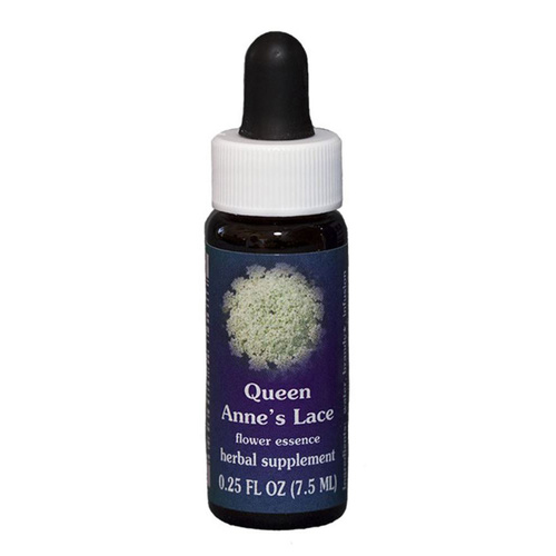 FES Quintessentials Queen Anne's Lace 7.5ml