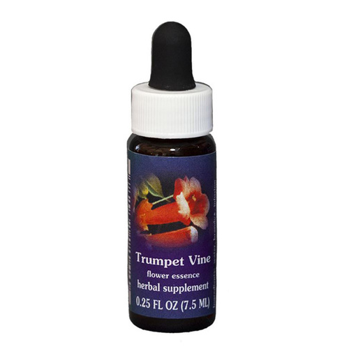 FES Quintessentials Trumpet Vine 7.5ml